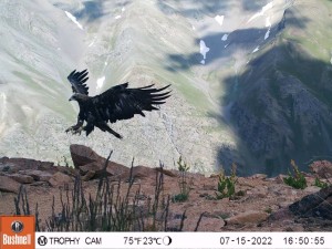 NlrljXRVYiptCbEcMNWTwcmMtDPH4mb4 front